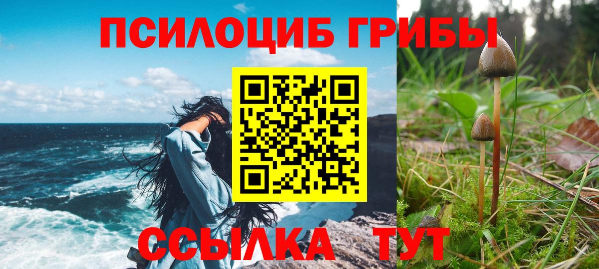 Всеволожск  Галлюциногенные грибы Cubensis  Вход с VPN  Псилоцибиновые грибы Magic Shrooms 